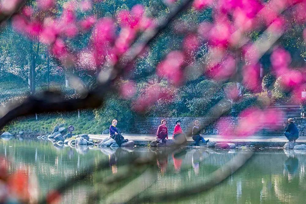 边境之旅