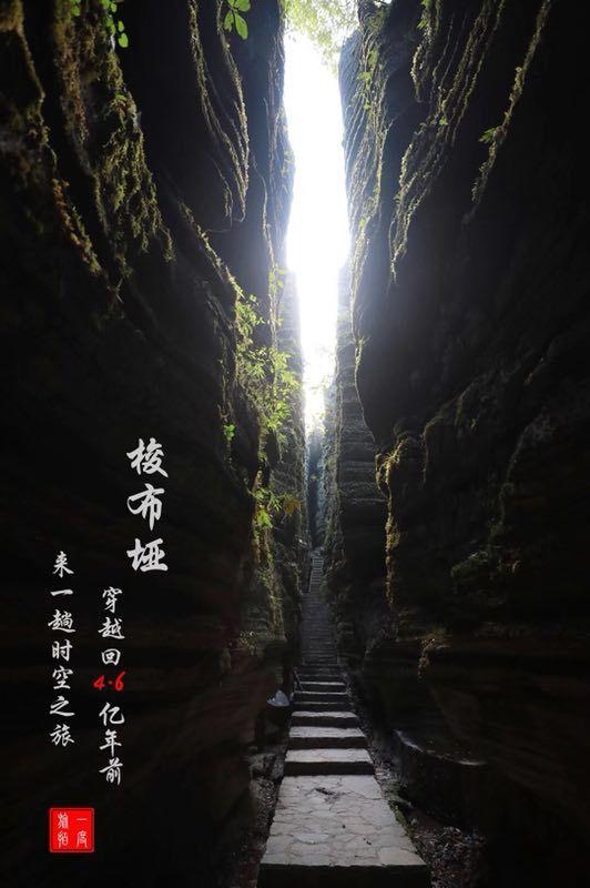 全民烧脑3去广告版