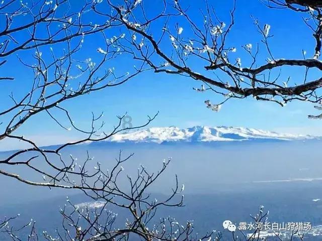 东方卫视上星首播!24集刑侦悬疑网剧来了,两个男主都是宝
