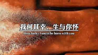 泰安五窗口入选百佳文明窗口