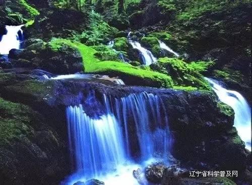 密室逃脱5之惊魂博物馆